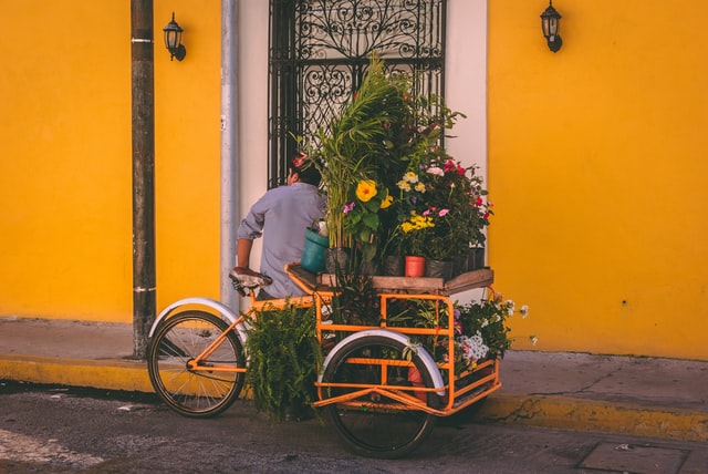 A man selling plants in Nuevo Toledo, Mexico.